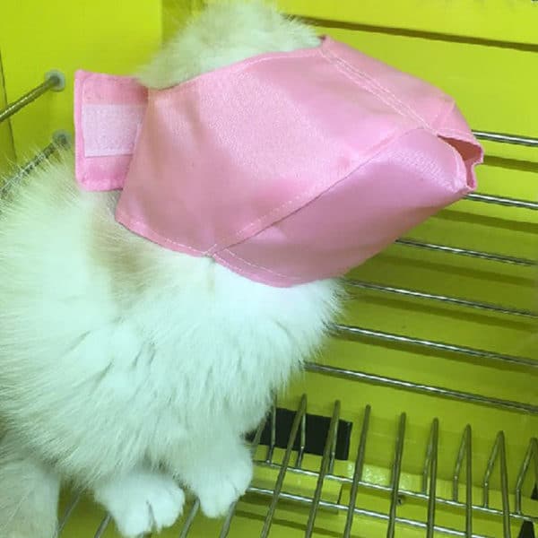 Uspokajający, oddychający, miękki kaganiec dla kota - Image 2