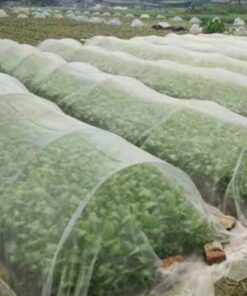 Zwalczanie szkodników barierowych