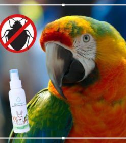 PlantGenic Usuwanie pasożytów ptaków